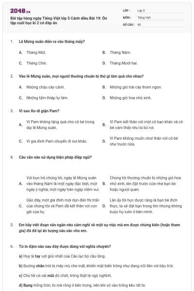 Bài tập hàng ngày Tiếng Việt lớp 5 Cánh diều Bài 19: Ôn tập cuối học kì 2 có đáp án