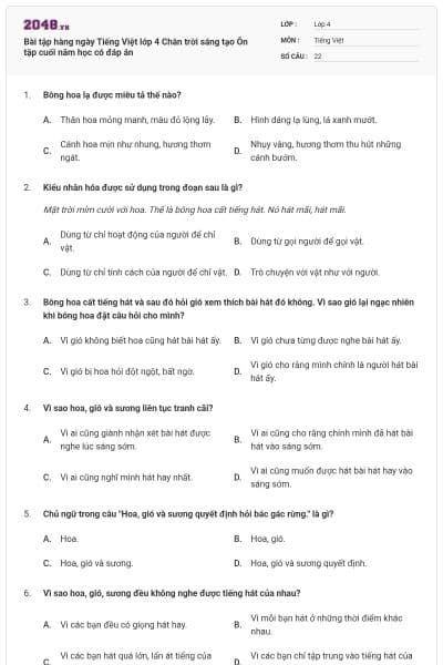 Bài tập hàng ngày Tiếng Việt lớp 4 Chân trời sáng tạo Ôn tập cuối năm học có đáp án