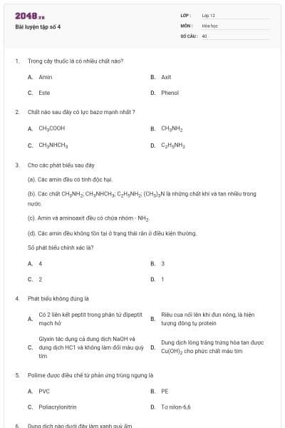 Bài luyện tập số 4