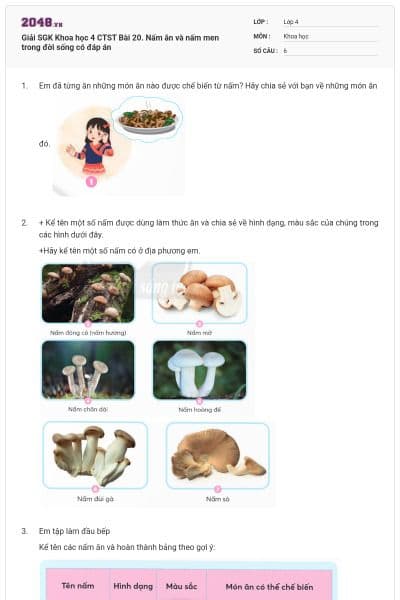 Giải SGK Khoa học 4 CTST Bài 20. Nấm ăn và nấm men trong đời sống có đáp án