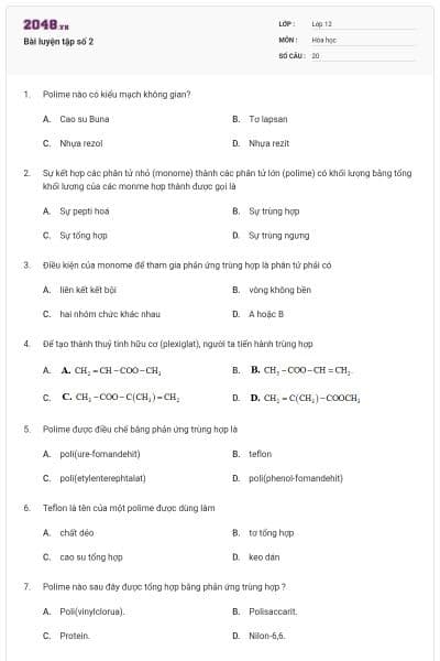 Bài luyện tập số 2