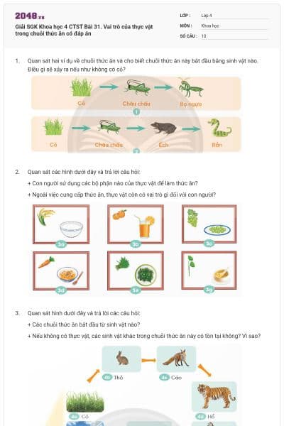 Giải SGK Khoa học 4 CTST Bài 31. Vai trò của thực vật trong chuỗi thức ăn có đáp án
