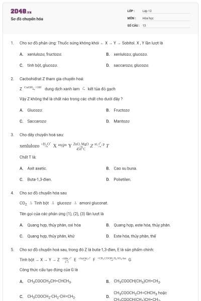 Sơ đồ chuyển hóa