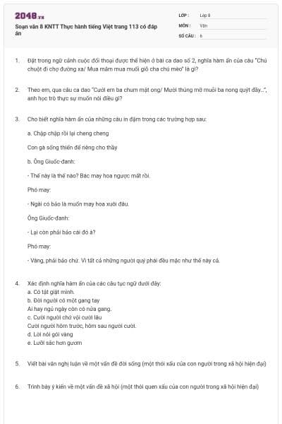 Soạn văn 8 KNTT Thực hành tiếng Việt trang 113 có đáp án