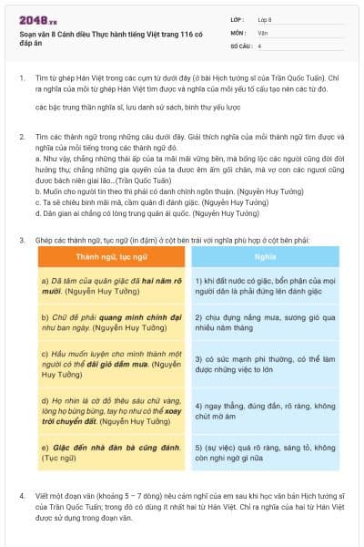 Soạn văn 8 Cánh diều Thực hành tiếng Việt trang 116 có đáp án