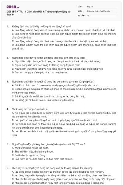 Giải SBT KTPL 11 Cánh diều Bài 3: Thị trường lao động có đáp án