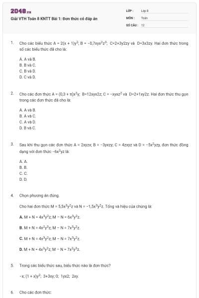 Giải VTH Toán 8 KNTT Bài 1: Đơn thức có đáp án