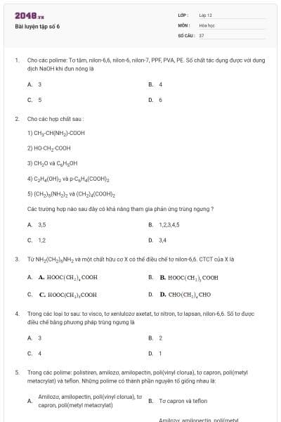 Bài luyện tập số 6