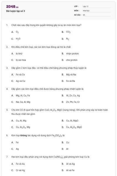 Bài luyện tập số 3