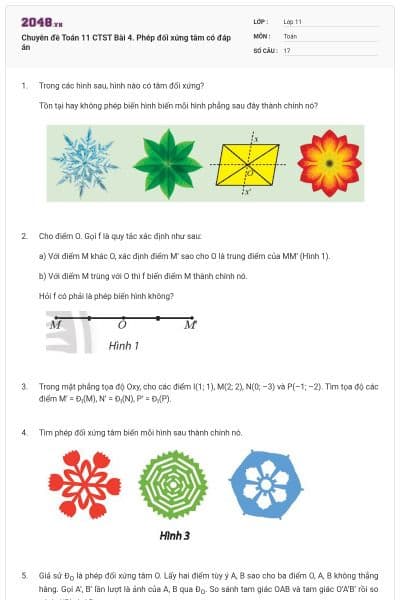 Chuyên đề Toán 11 CTST Bài 4. Phép đối xứng tâm có đáp án