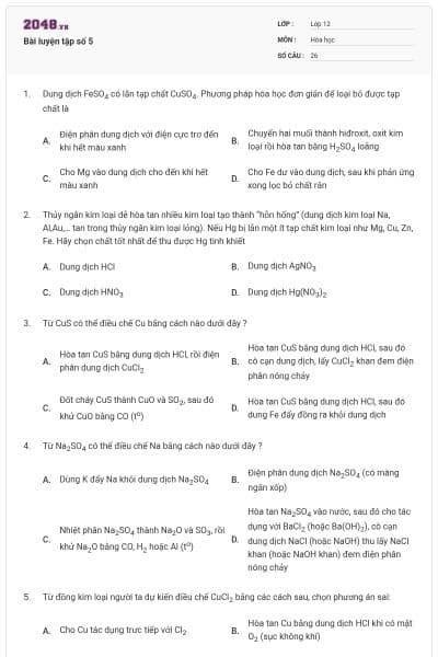 Bài luyện tập số 5