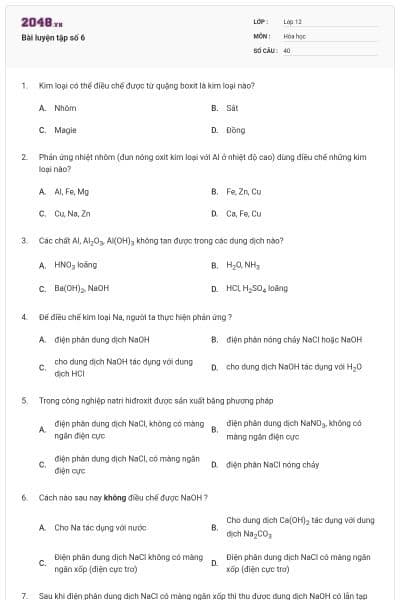 Bài luyện tập số 6