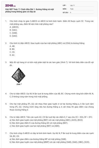 Giải SBT Toán 11 Cánh diều Bài 1. Đường thẳng và mặt phẳng trong không gian có đáp án
