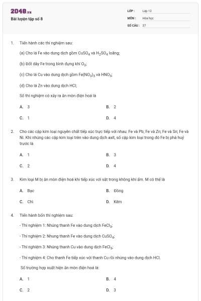 Bài luyện tập số 8