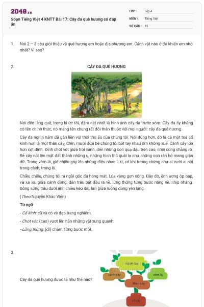 Soạn Tiếng Việt 4 KNTT Bài 17: Cây đa quê hương có đáp án