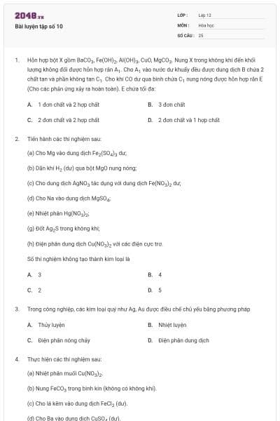 Bài luyện tập số 10