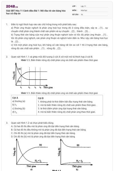 Giải SBT Hóa 11 Cánh diều Bài 1: Mở đầu về cân bằng hóa học có đáp án