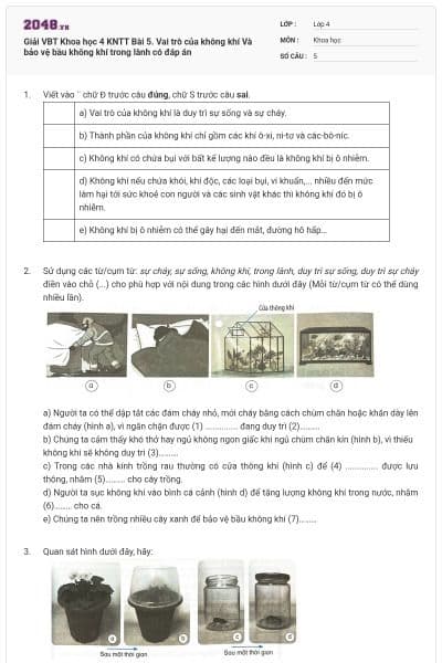 Giải VBT Khoa học 4 KNTT Bài 5. Vai trò của không khí Và bảo vệ bầu không khí trong lành có đáp án