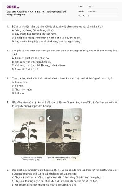 Giải VBT Khoa học 4 KNTT Bài 15. Thực vật cần gì để sống? có đáp án