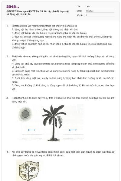 Giải VBT Khoa học 4 KNTT Bài 18. Ôn tập chủ đề thực vật và động vật có đáp án