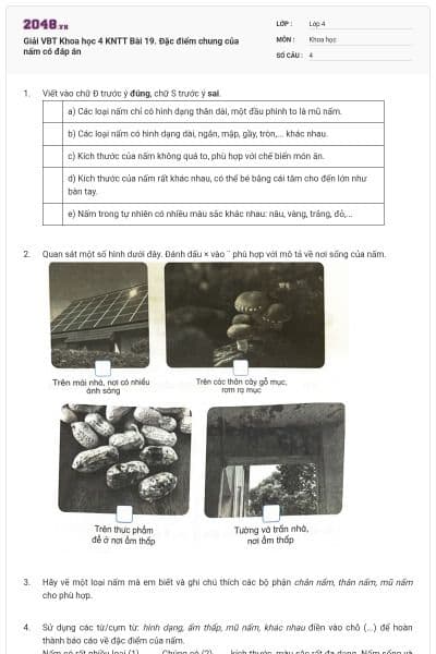 Giải VBT Khoa học 4 KNTT Bài 19. Đặc điểm chung của nấm có đáp án