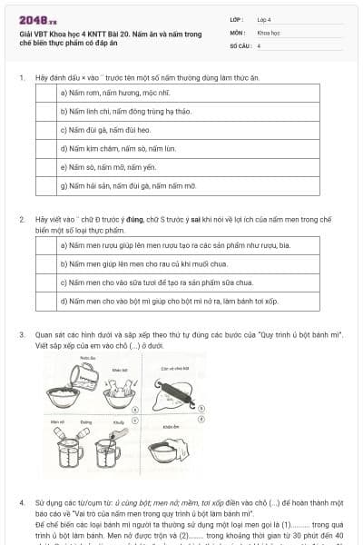 Giải VBT Khoa học 4 KNTT Bài 20. Nấm ăn và nấm trong chế biến thực phẩm có đáp án