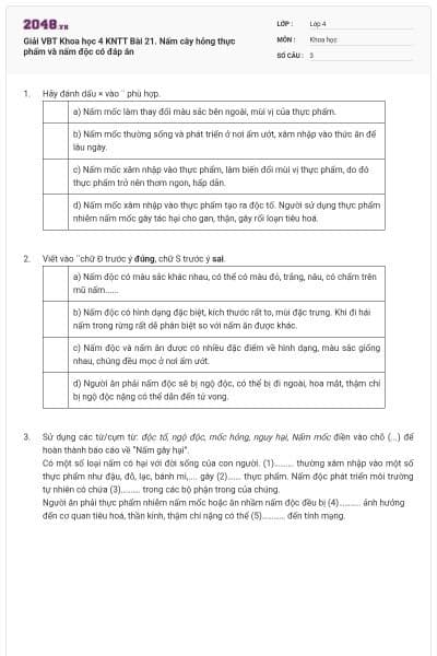 Giải VBT Khoa học 4 KNTT Bài 21. Nấm cây hỏng thực phẩm và nấm độc có đáp án