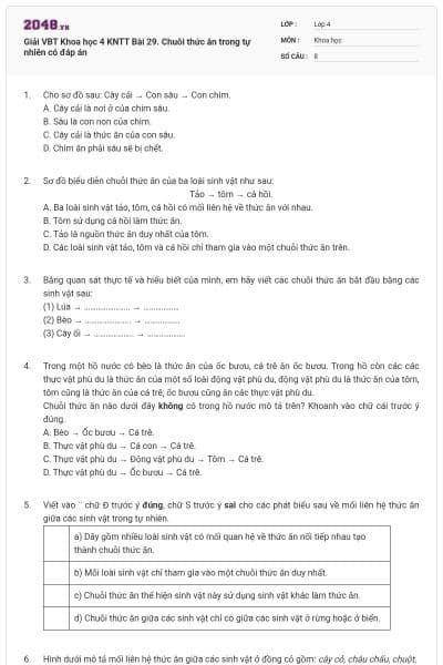 Giải VBT Khoa học 4 KNTT Bài 29. Chuỗi thức ăn trong tự nhiên có đáp án