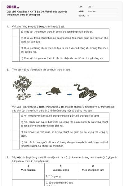 Giải VBT Khoa học 4 KNTT Bài 30. Vai trò của thực vật trong chuỗi thức ăn có đáp án