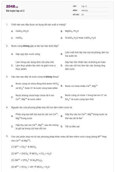 Bài luyện tập số 2