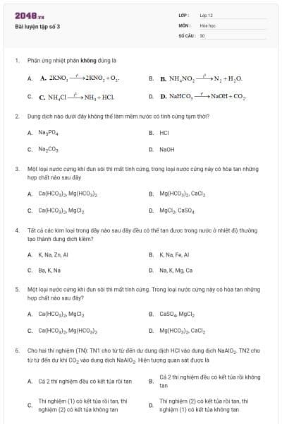 Bài luyện tập số 3