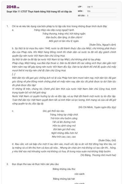 Soạn Văn 11 CTST Thực hành tiếng Việt trang 65 có đáp án