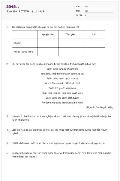 Soạn Văn 11 CTST Ôn tập có đáp án