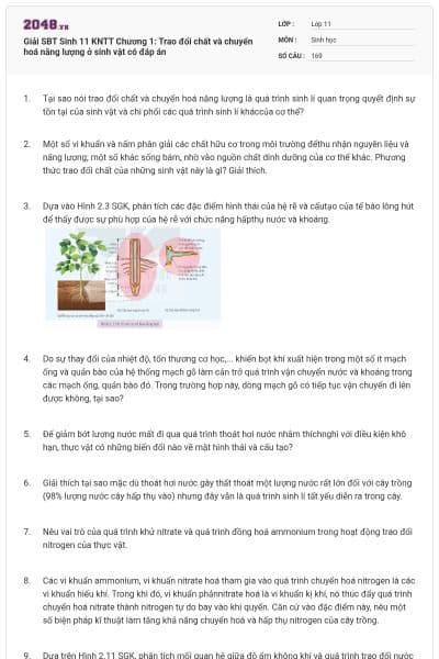 Giải SBT Sinh 11 KNTT Chương 1: Trao đổi chất và chuyển hoá năng lượng ở sinh vật có đáp án