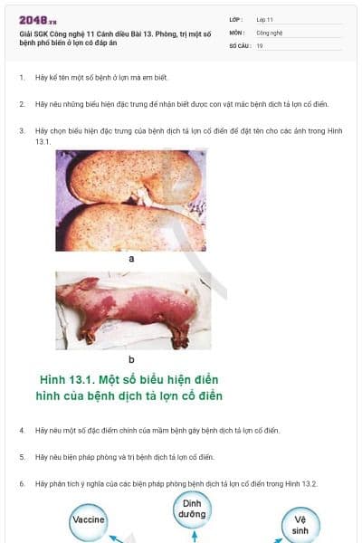 Giải SGK Công nghệ 11 Cánh diều Bài 13. Phòng, trị một số bệnh phổ biến ở lợn có đáp án