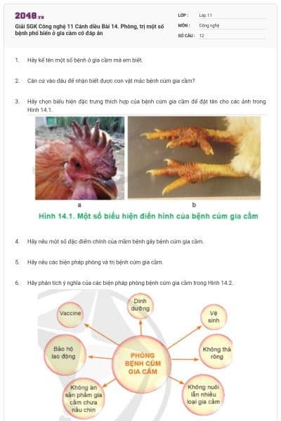 Giải SGK Công nghệ 11 Cánh diều Bài 14. Phòng, trị một số bệnh phổ biến ở gia cầm có đáp án