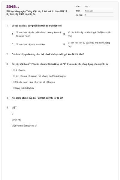 Bài tập hàng ngày Tiếng Việt lớp 2 Kết nối tri thức Bài 11: Sự tích cây thì là có đáp án