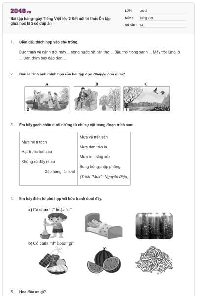 Bài tập hàng ngày Tiếng Việt lớp 2 Kết nối tri thức Ôn tập giữa học kì 2 có đáp án