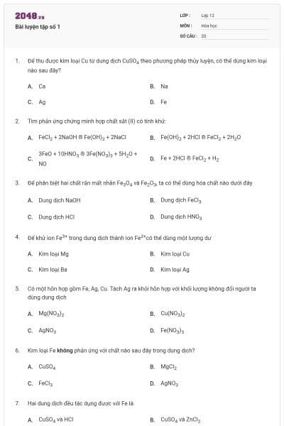 Bài luyện tập số 1