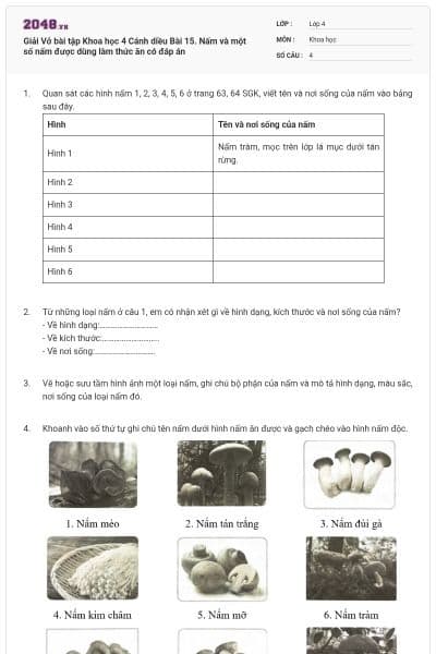 Giải Vở bài tập Khoa học 4 Cánh diều Bài 15. Nấm và một số nấm được dùng làm thức ăn có đáp án