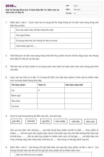 Giải Vở bài tập Khoa học 4 Cánh diều Bài 16. Nấm men và nấm mốc có đáp án