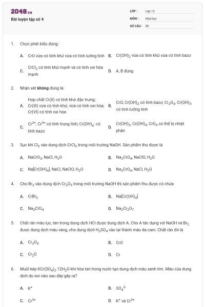 Bài luyện tập số 4
