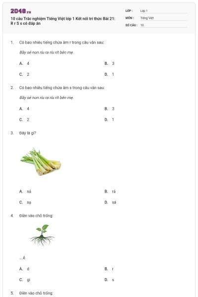 10 câu Trắc nghiệm Tiếng Việt lớp 1 Kết nối tri thức Bài 21: R r S s có đáp án