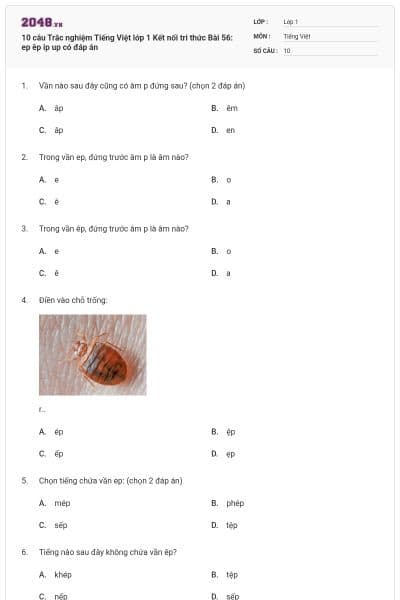 10 câu Trắc nghiệm Tiếng Việt lớp 1 Kết nối tri thức Bài 56: ep êp ip up có đáp án