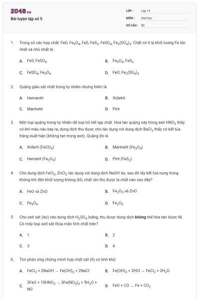 Bài luyện tập số 5