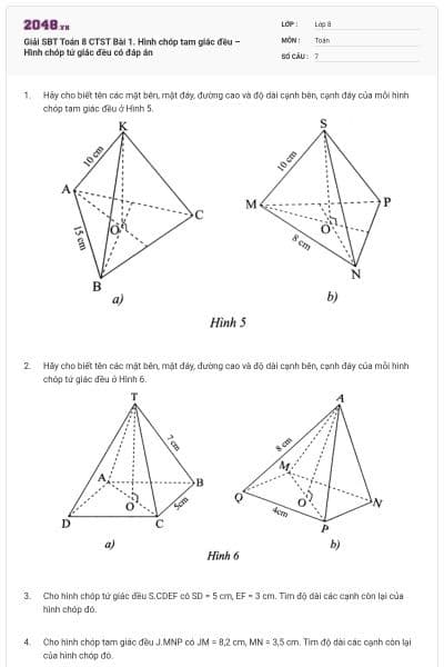 Giải SBT Toán 8 CTST Bài 1. Hình chóp tam giác đều – Hình chóp tứ giác đều có đáp án