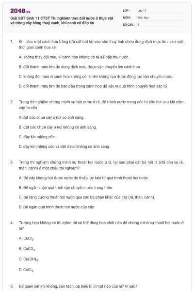 Giải SBT Sinh 11 CTST Thí nghiệm trao đổi nước ở thực vật và trồng cây bằng thuỷ canh, khí canh có đáp án