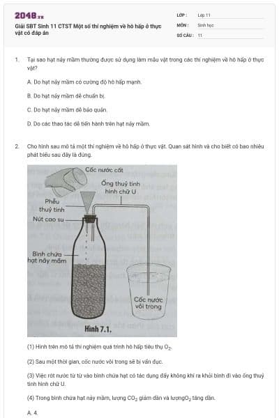 Giải SBT Sinh 11 CTST Một số thí nghiệm về hô hấp ở thực vật có đáp án
