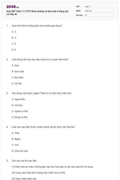 Giải SBT Sinh 11 CTST Dinh dưỡng và tiêu hoá ở động vật có đáp án