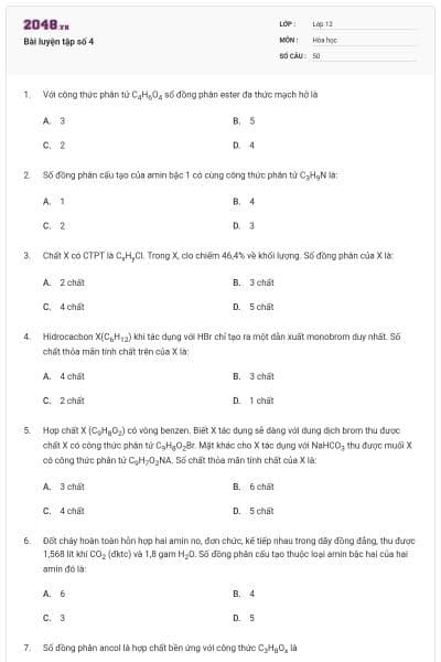 Bài luyện tập số 4